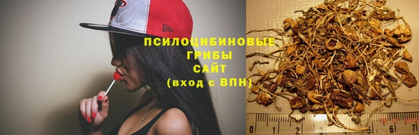 не бодяженный Армянск