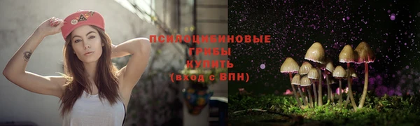 первитин Аркадак