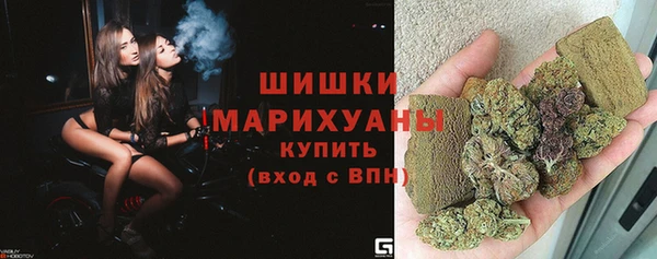 трава Гвардейск