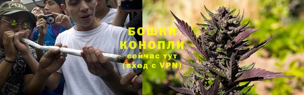 крисы Арсеньев
