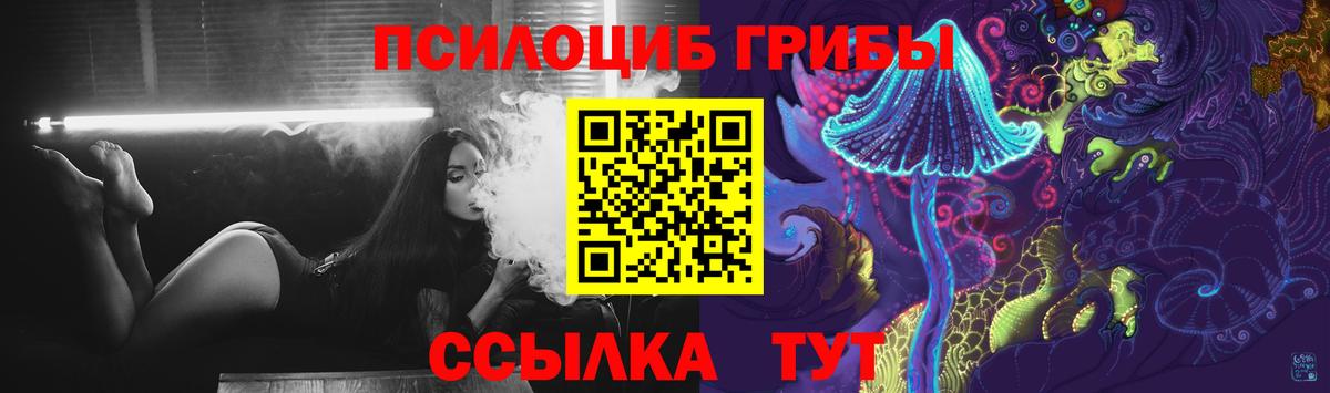 Псилоцибиновые грибы Psilocybine cubensis  Вход с VPN  Дюртюли 